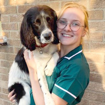 How I trained to become a veterinary nurse during lockdown